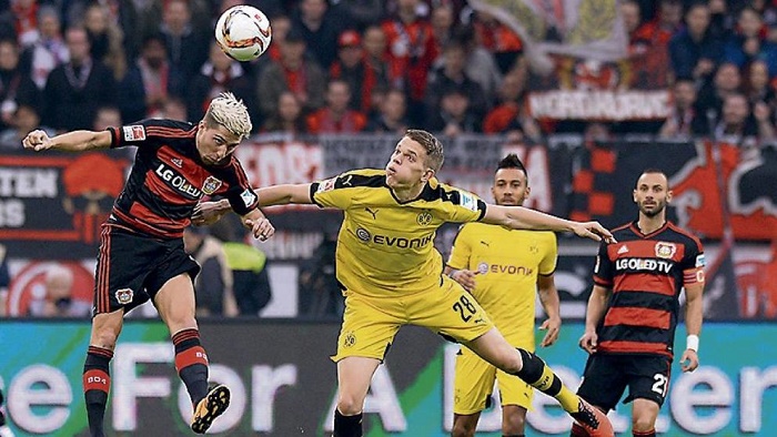 博彩运营商参与红树林保护